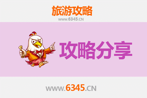 陇南武都旅游攻略：跟团与自由行深度解析